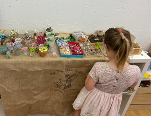 Fairy Garden Picnic Workshop - Tuesday 30th July 3 - 4 pm